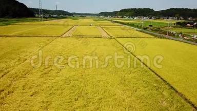 水稻收获的空中跟踪拍摄